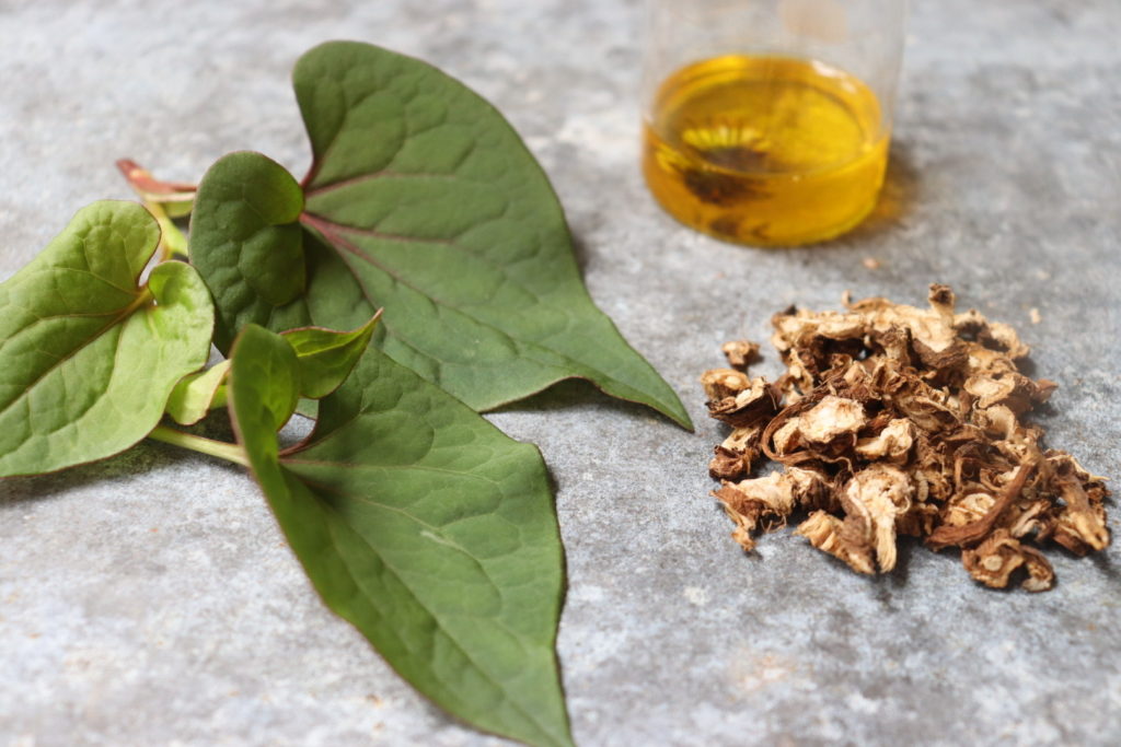 ドクダミとたんぽぽオイルと根